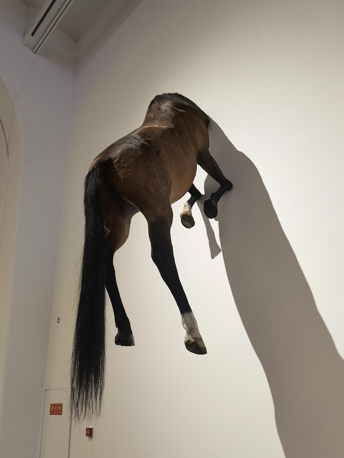 images/art/2021-12-19 莫瑞吉奥卡特兰 最后的审判/15.jpg